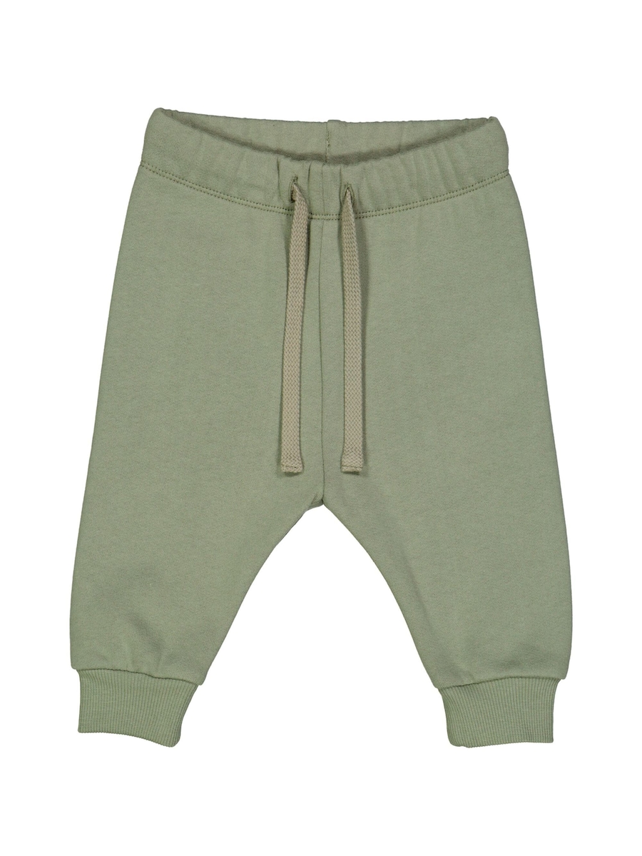 Обычные брюки Müsli by GREEN COTTON, пастельно-зеленый
Обычные брюки Müsli by GREEN COTTON, пастельно-зеленый