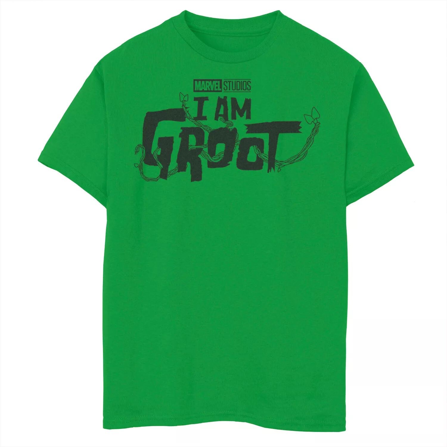 Футболка с логотипом Marvel I am Groot для мальчиков 8–20 лет Licensed Character
Футболка с логотипом Marvel I am Groot для мальчиков 8–20 лет Licensed Character
