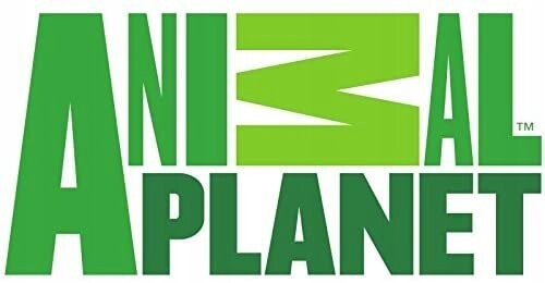 Animal Planet, Коллекционная статуэтка, Дейнонич Mojo
Animal Planet, Коллекционная статуэтка, Дейнонич Mojo