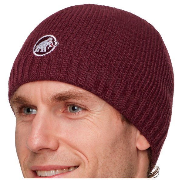 Великолепная шапочка Mammut, Vin
Великолепная шапочка Mammut, Vin