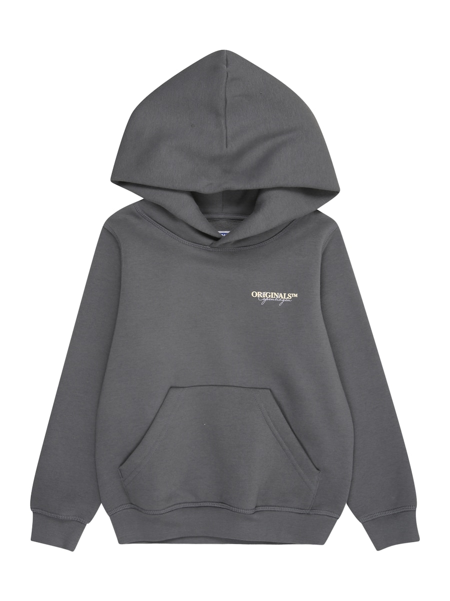 Толстовка JACK & JONES MINI JORIslington, синий
Толстовка JACK & JONES MINI JORIslington, синий