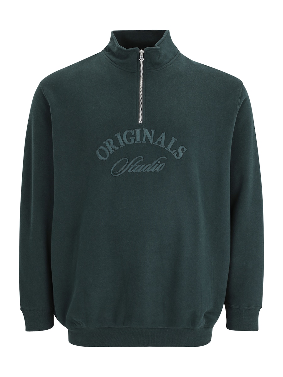 Толстовка Jack & Jones Plus JORBLEECKER, Jade/Fir
Толстовка Jack & Jones Plus JORBLEECKER, Jade/Fir