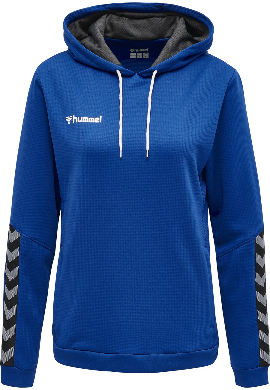 Спортивная толстовка Hummel Authentic, синий
Спортивная толстовка Hummel Authentic, синий