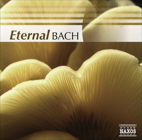 CD диск Eternal Bach / Various: Eternal Bach / Various 
CD диск Eternal Bach / Various: Eternal Bach / Various
