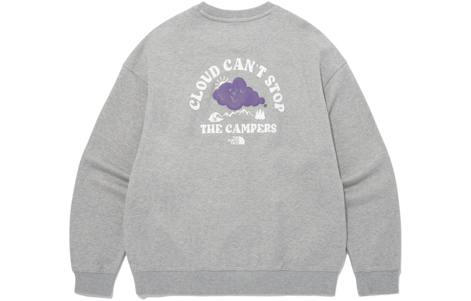 Толстовка мужская серая The North Face, серый 
Толстовка мужская серая The North Face, серый