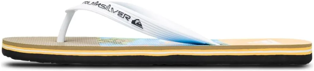 Мужские вьетнамки Quiksilver, синий
Мужские вьетнамки Quiksilver, синий