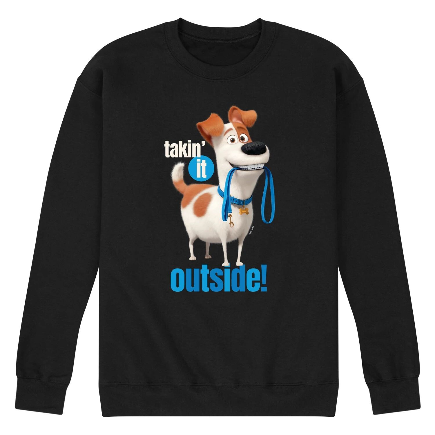 Мужской флисовый пуловер с рисунком Secret Life Pets Take It Out Out Licensed Character
Мужской флисовый пуловер с рисунком Secret Life Pets Take It Out Out Licensed Character