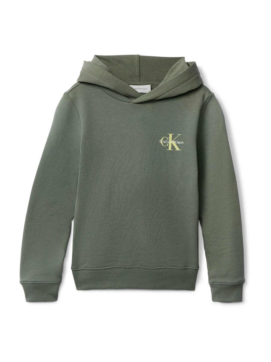 Толстовка Calvin Klein Jeans, светло-зеленый/темно-зеленый
Толстовка Calvin Klein Jeans, светло-зеленый/темно-зеленый