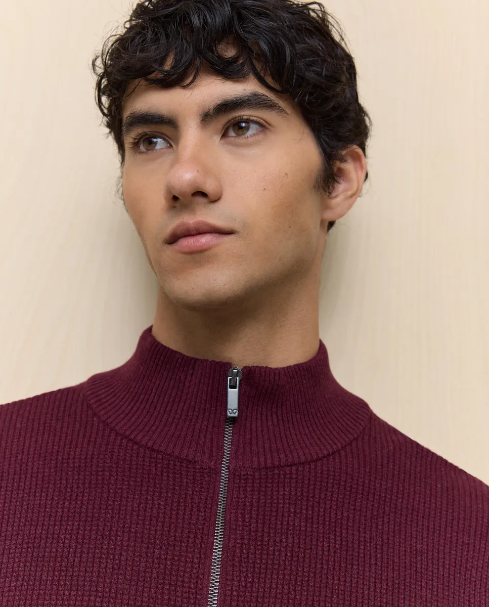 Мужской свитер с воротником и молнией Easy Wear, бордовый
Мужской свитер с воротником и молнией Easy Wear, бордовый