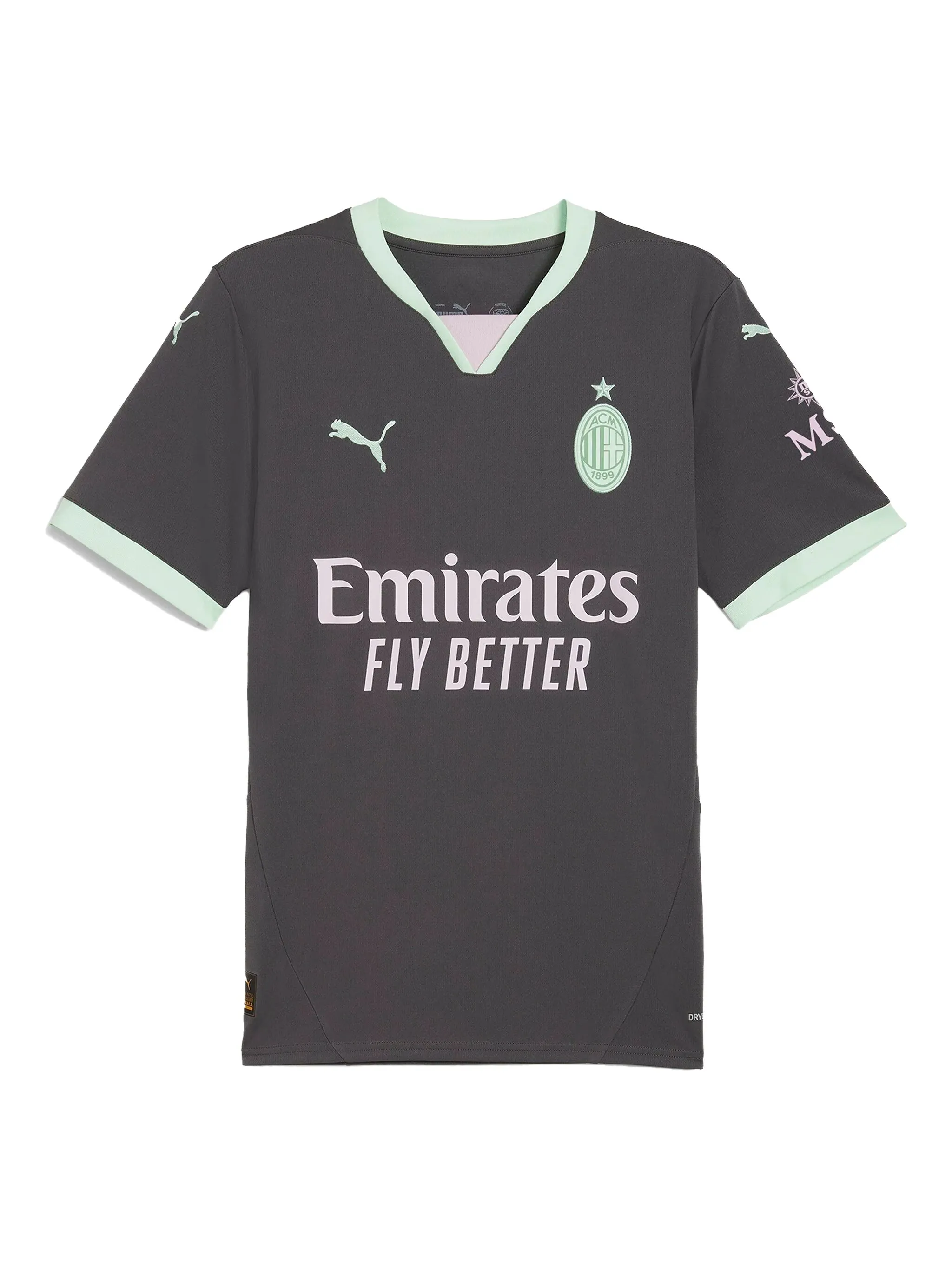 Футболка AC Milan 24/25 Puma, серый
Футболка AC Milan 24/25 Puma, серый