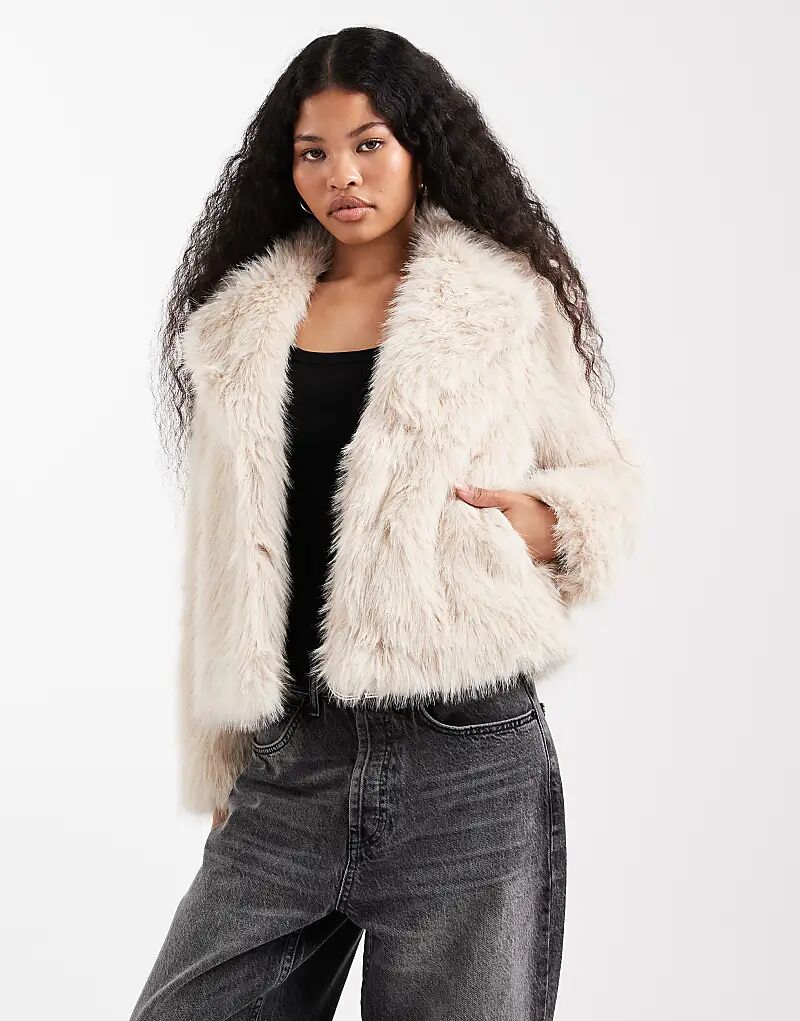 Куртка New Look Petite из искусственного меха шегги кремового цвета
Куртка New Look Petite из искусственного меха шегги кремового цвета