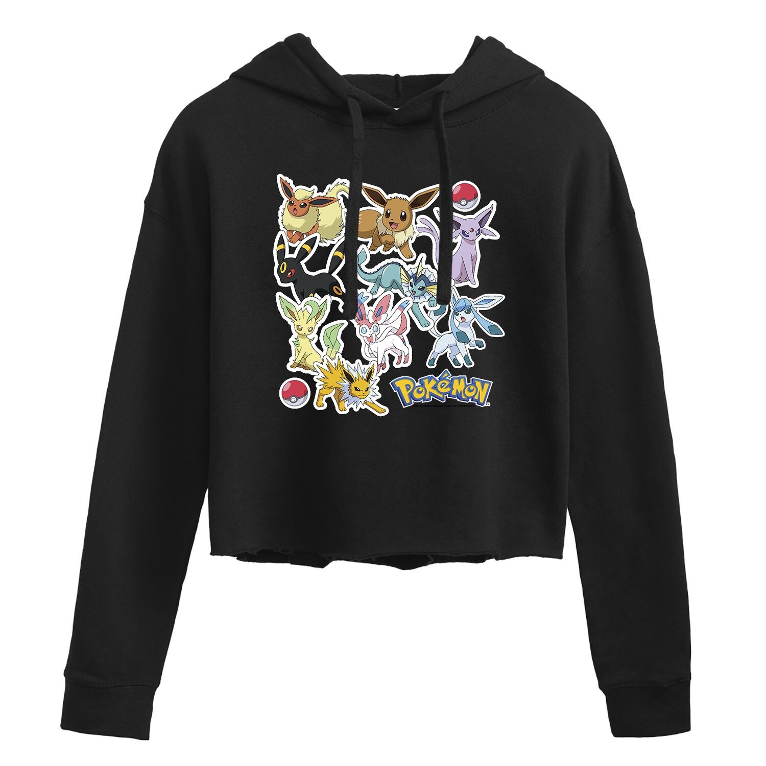 Худи с рисунком Pokémon Eevee Evolutions Licensed Character, черный
Худи с рисунком Pokémon Eevee Evolutions Licensed Character, черный