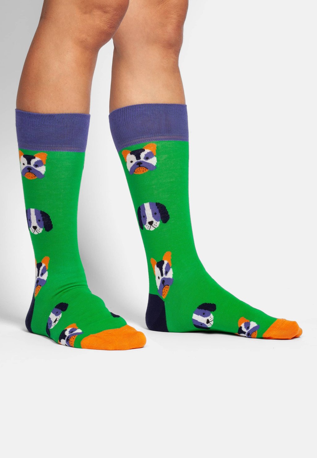 Носки 2ER SET DOG VS BIEVER DillySocks, мультиколор
Носки 2ER SET DOG VS BIEVER DillySocks, мультиколор