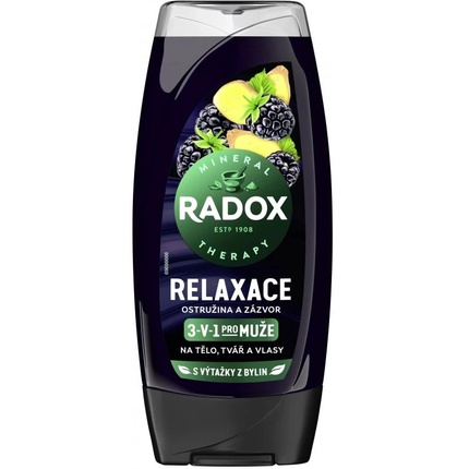 Men Relax 3 в 1 гель для душа для мужчин ежевика и имбирь 225 мл Radox
Men Relax 3 в 1 гель для душа для мужчин ежевика и имбирь 225 мл Radox
