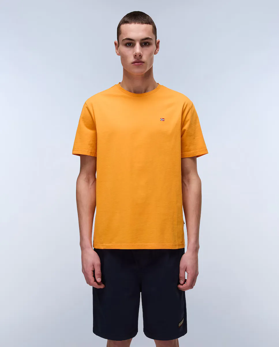 Salis SS мужская футболка с короткими рукавами Napapijri, оранжевый
Salis SS мужская футболка с короткими рукавами Napapijri, оранжевый