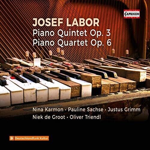 CD диск Labor / Karmon / Triendl: Piano Quintet 3
CD диск Labor / Karmon / Triendl: Piano Quintet 3