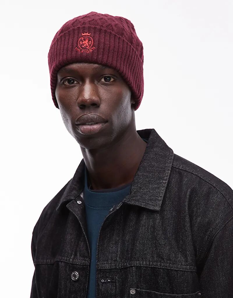 Вязаная шапка с логотипом Tommy Hilfiger бордового цвета
Вязаная шапка с логотипом Tommy Hilfiger бордового цвета