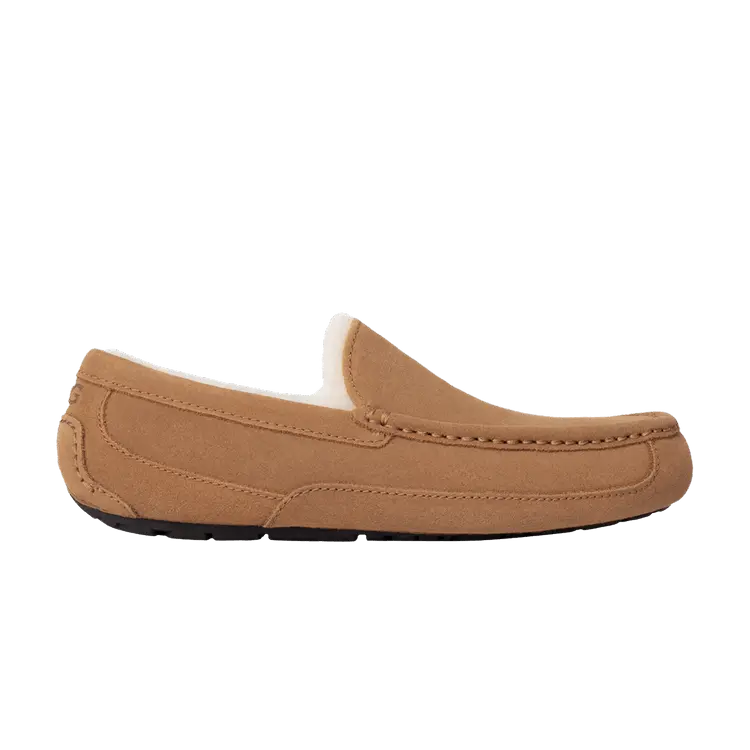 Кроссовки Ascot Slipper 'Chestnut', коричневый
Кроссовки Ascot Slipper 'Chestnut', коричневый