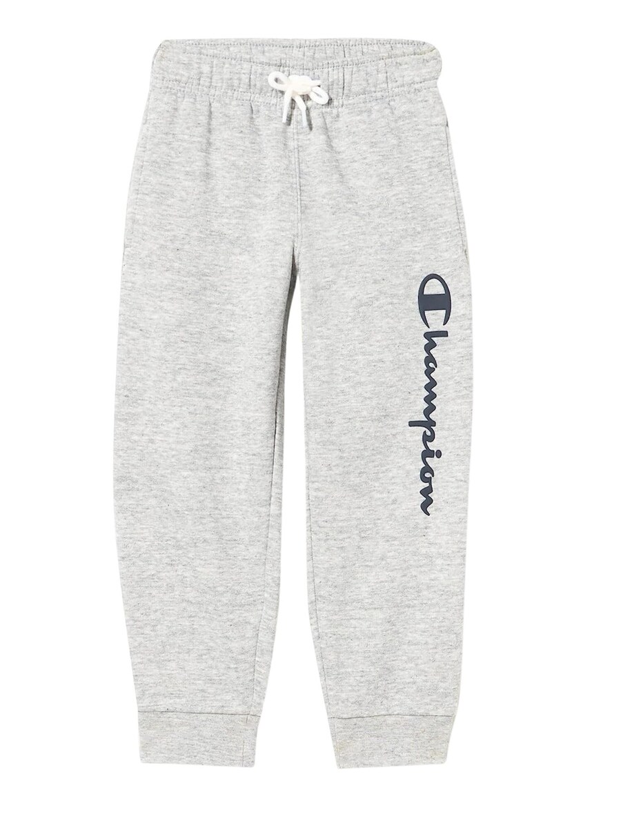 Зауженные брюки Champion Authentic Athletic Apparel Legacy American Classics, светло-серый
Зауженные брюки Champion Authentic Athletic Apparel Legacy American Classics, светло-серый