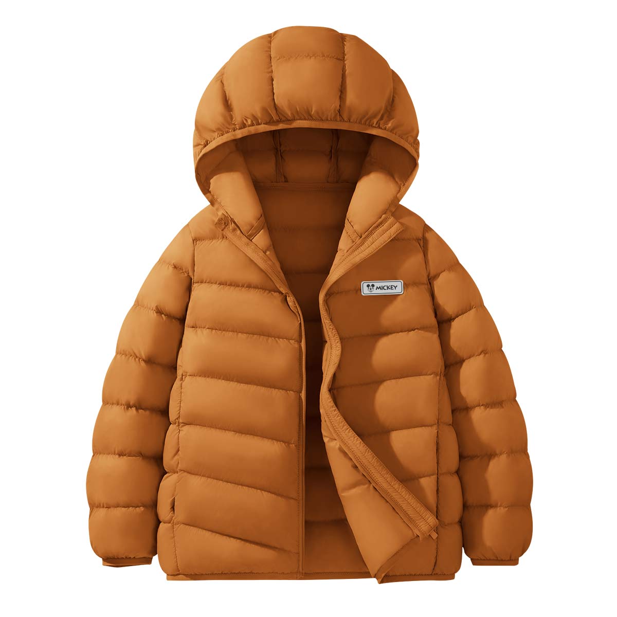 Детская пуховая куртка Grade School Disney, оранжевый
Детская пуховая куртка Grade School Disney, оранжевый