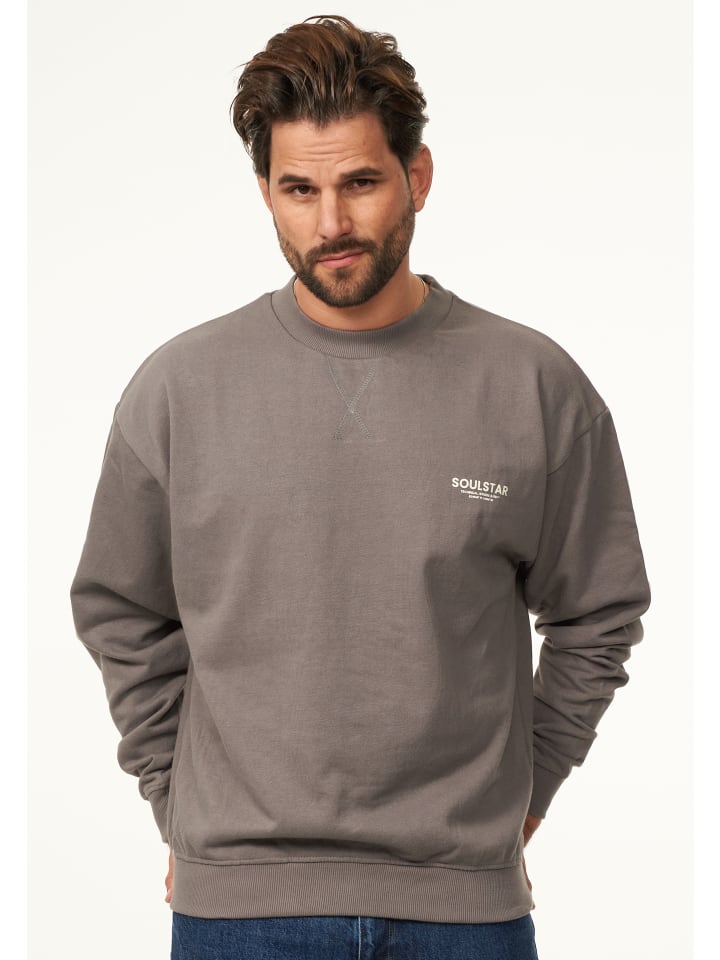 Толстовка SOULSTAR, серый
Толстовка SOULSTAR, серый