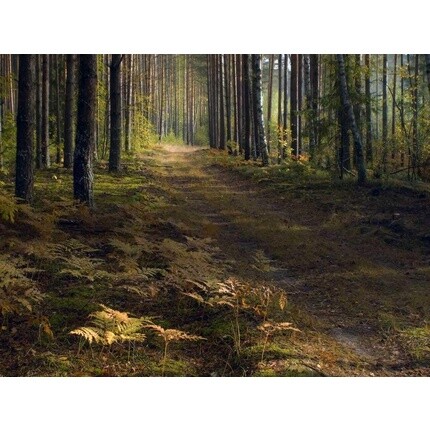 Органическое нерафинированное масло золотого жожоба 50 мл, Etja
Органическое нерафинированное масло золотого жожоба 50 мл, Etja