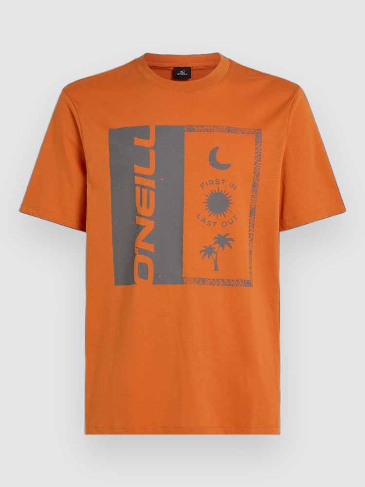 Футболка O'Neill Front Print T-Shirt, cinnamon stick, Коричневый, Футболка O'Neill Front Print T-Shirt, cinnamon stick
Футболка O'Neill Front Print T-Shirt, cinnamon stick, Коричневый, Футболка O'Neill Front Print T-Shirt, cinnamon stick