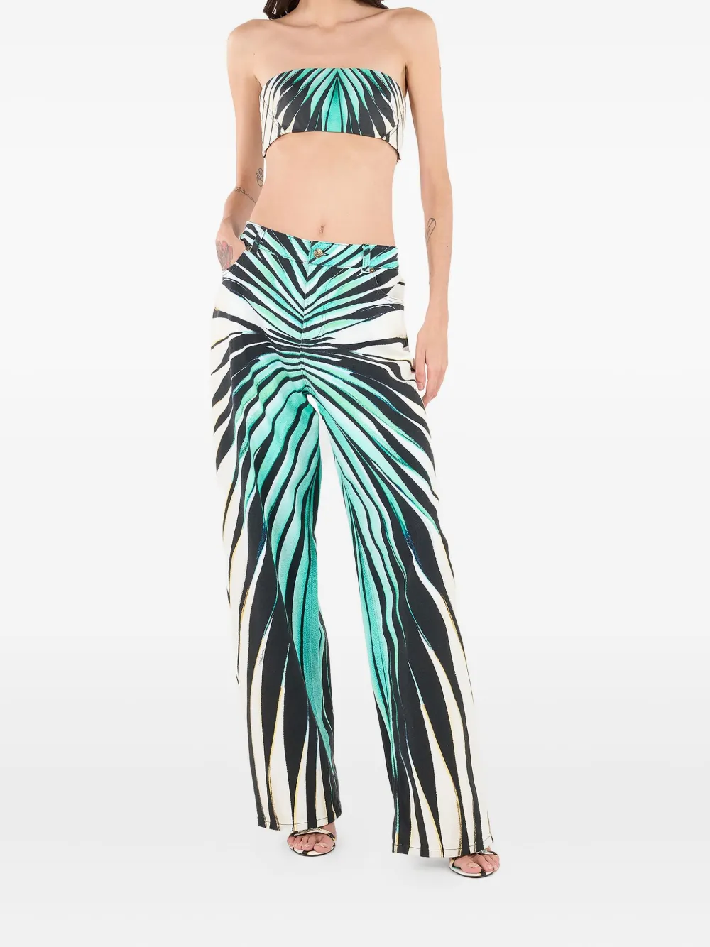 Брюки с принтом Ray of Sea Roberto Cavalli, синий
Брюки с принтом Ray of Sea Roberto Cavalli, синий