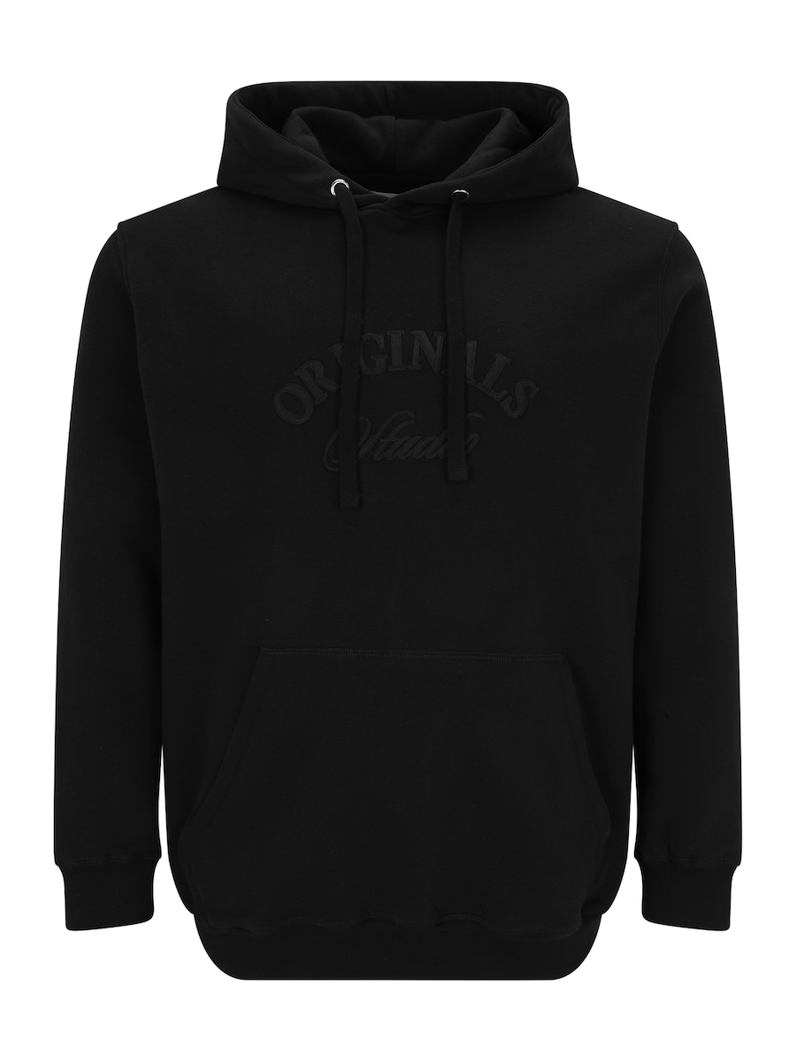 Толстовка Jack & Jones Plus JORBLEECKER, черный
Толстовка Jack & Jones Plus JORBLEECKER, черный