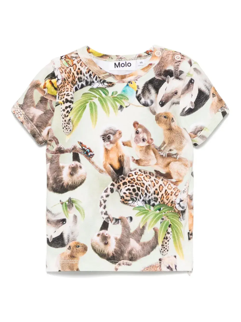 Футболка Easy Molo, зеленый
Футболка Easy Molo, зеленый