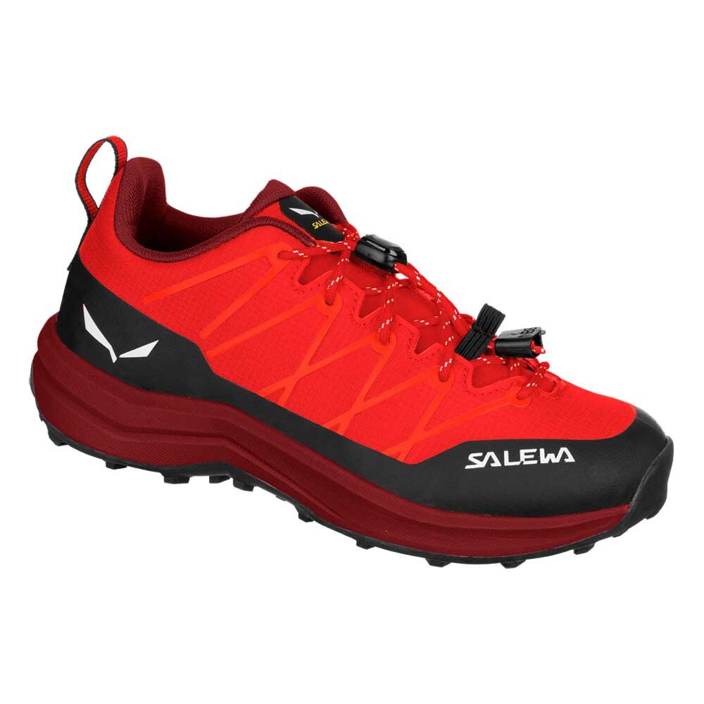 Беговые кроссовки Salewa Wildfire 2 K Trail, красный
Беговые кроссовки Salewa Wildfire 2 K Trail, красный