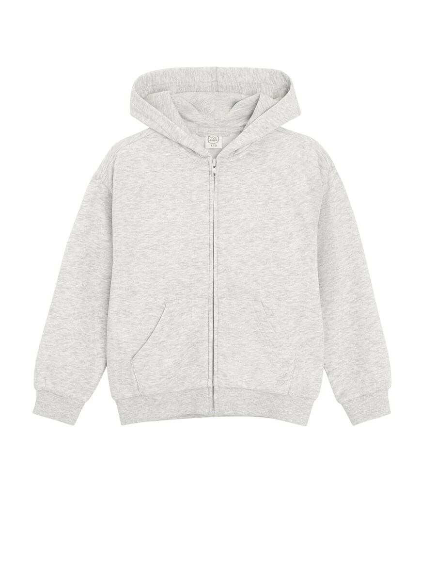 Толстовка с капюшоном на молнии Cool Club, светло-серый
Толстовка с капюшоном на молнии Cool Club, светло-серый