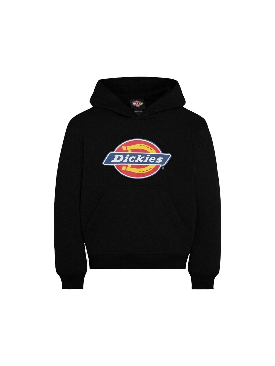 Толстовка DICKIES Youth, черный
Толстовка DICKIES Youth, черный