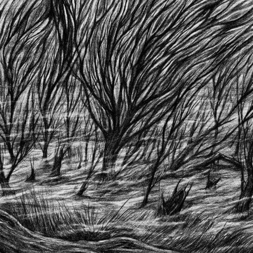 Виниловая пластинка Bismuth: The Eternal Marshes
Виниловая пластинка Bismuth: The Eternal Marshes