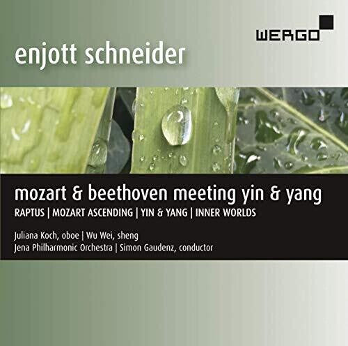CD диск Schneider / Koch / Gaudenz: Meeting Yin & Yang
CD диск Schneider / Koch / Gaudenz: Meeting Yin & Yang