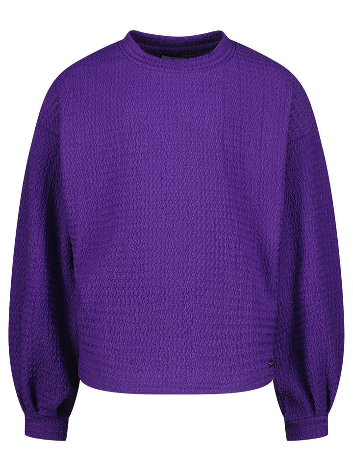 Толстовка RAIZZEDВ, фиолетовый
Толстовка RAIZZEDВ, фиолетовый