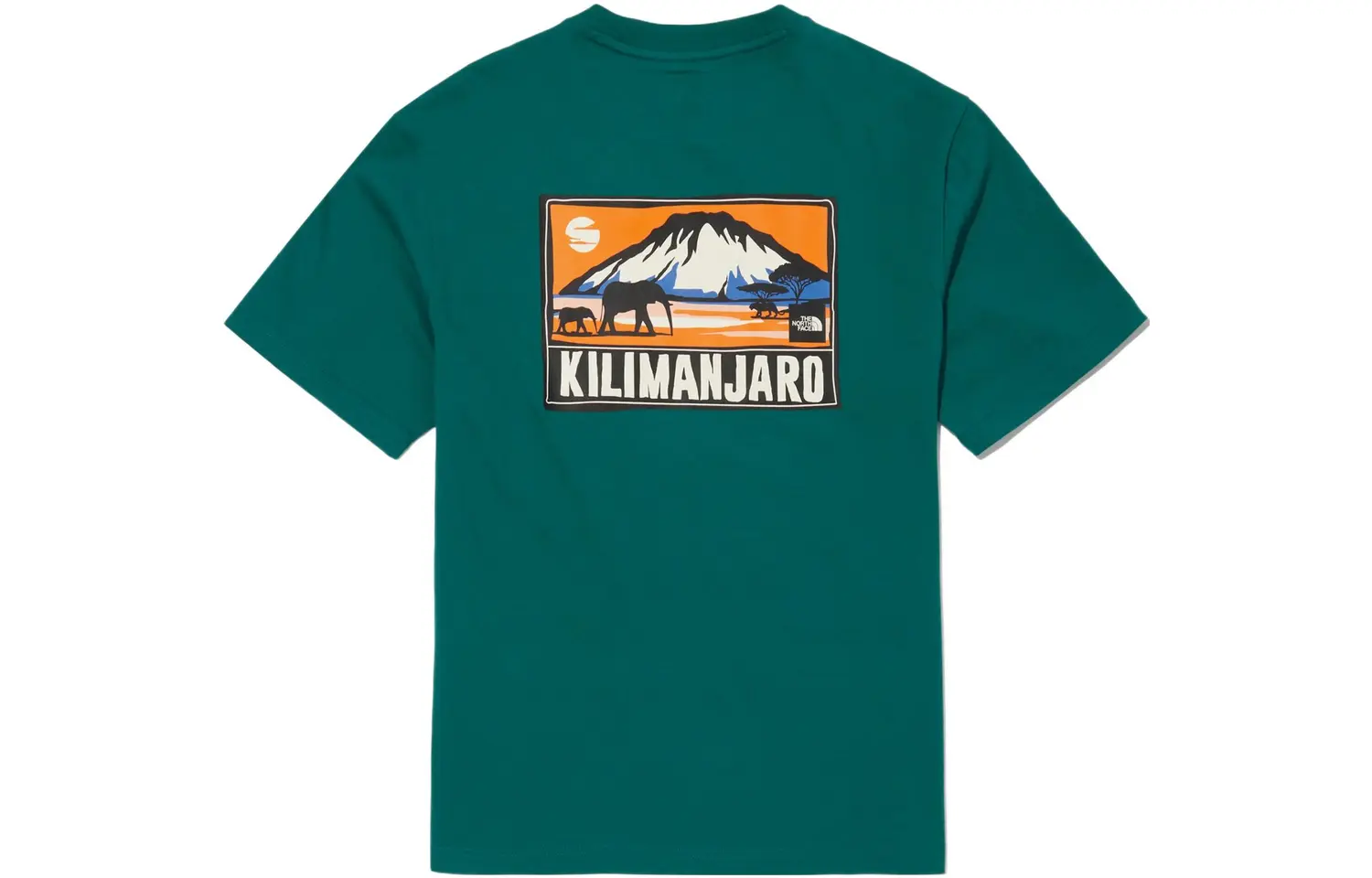 Футболка мужская зеленая The North Face, зеленый
Футболка мужская зеленая The North Face, зеленый