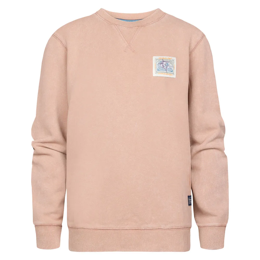 Толстовка Petrol Industries B-1050-SWR311, бежевый
Толстовка Petrol Industries B-1050-SWR311, бежевый