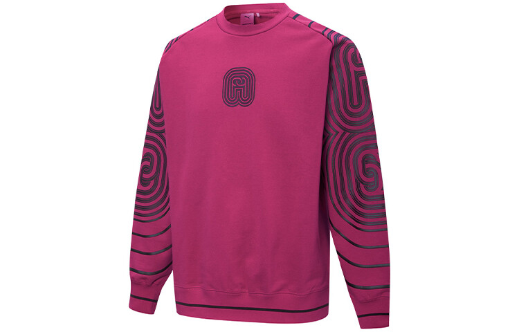 Pronounce X Толстовка унисекс фуксия Puma, фуксия
Pronounce X Толстовка унисекс фуксия Puma, фуксия