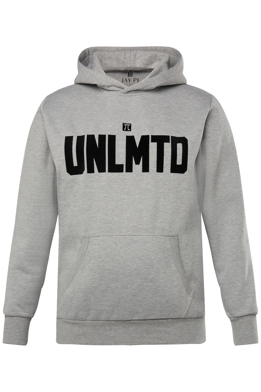 Толстовка JAY-PI, серый
Толстовка JAY-PI, серый