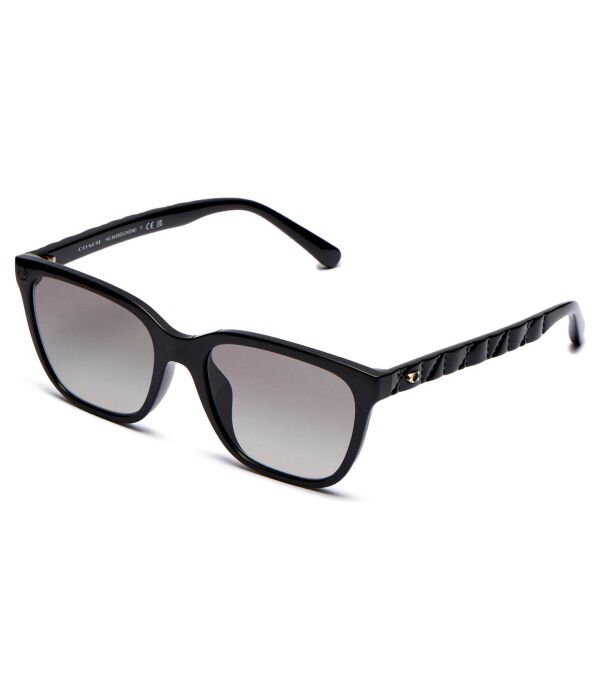 Солнцезащитные очки Coach, черный
Солнцезащитные очки Coach, черный