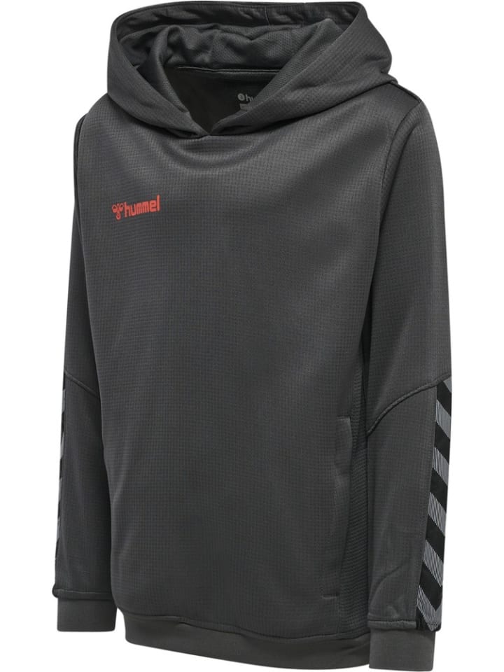 Детская толстовка серого цвета Hummel
Детская толстовка серого цвета Hummel