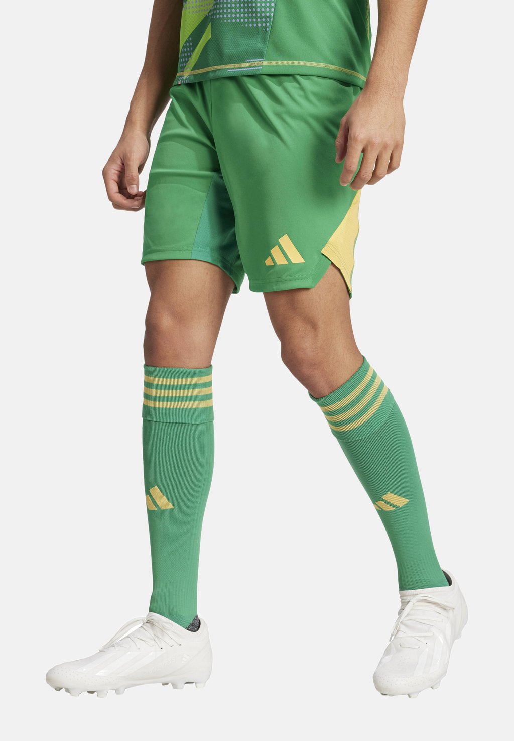 Спортивные шорты TIRO 24 PRO adidas Performance, зеленый
Спортивные шорты TIRO 24 PRO adidas Performance, зеленый