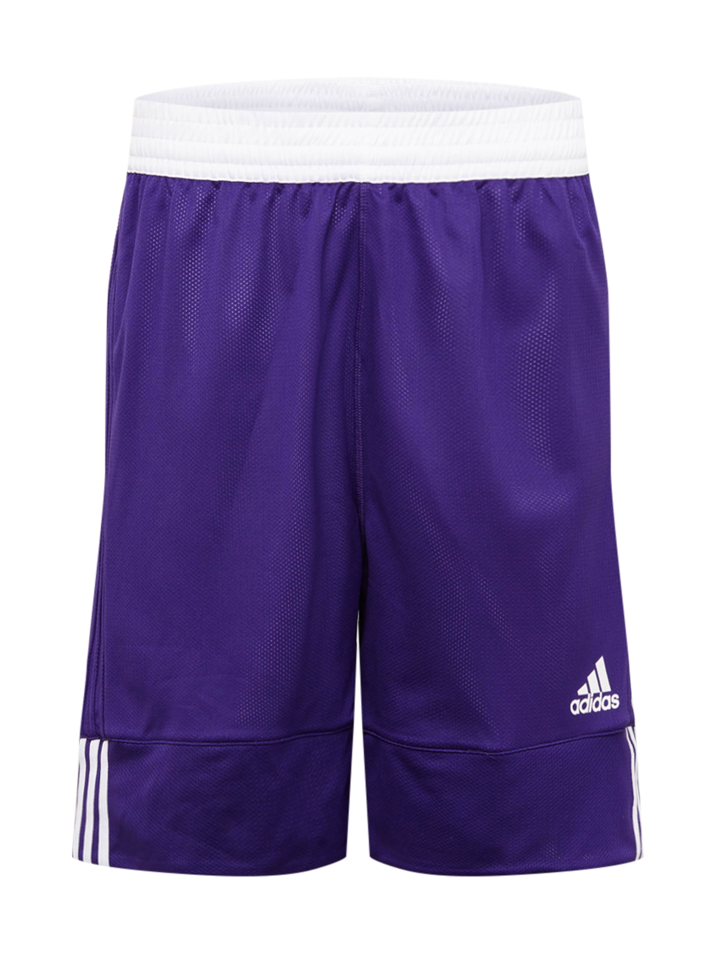 Adidas Sportswear Шорты для тренировок Regular '3G Speed' в цвете Violet
Adidas Sportswear Шорты для тренировок Regular '3G Speed' в цвете Violet