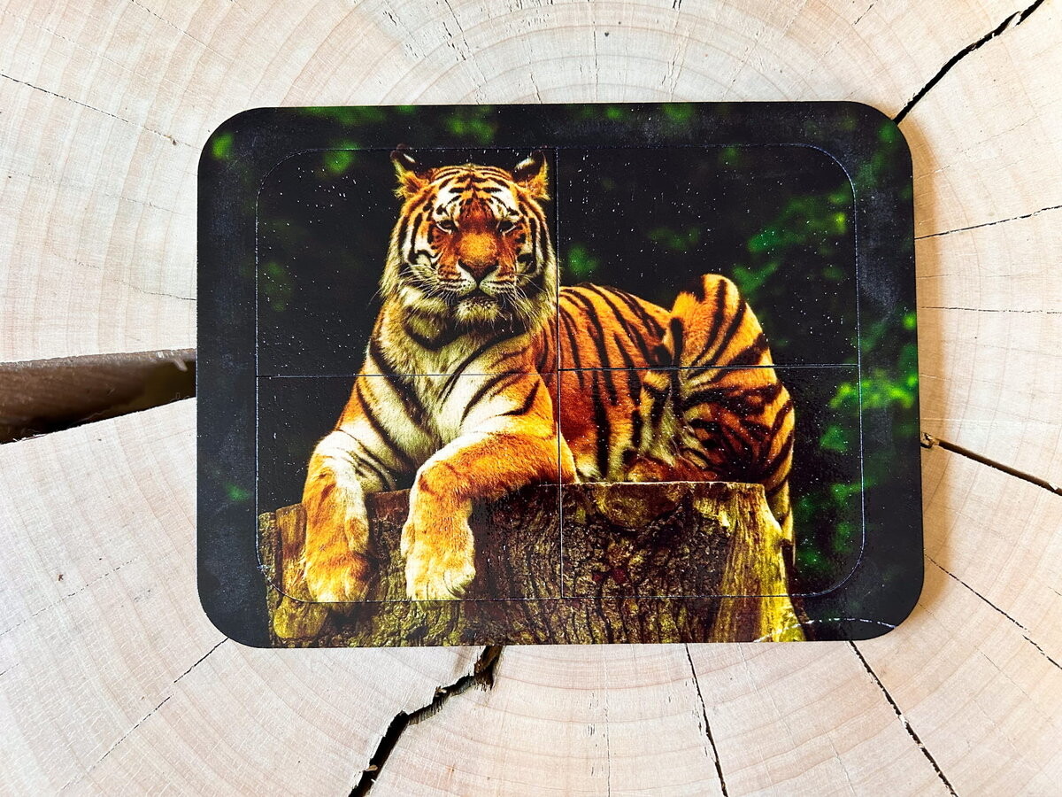 Тигр, деревянный пазл с четырьмя элементами, основа с подписью, первый пазл Inna marka
Тигр, деревянный пазл с четырьмя элементами, основа с подписью, первый пазл Inna marka