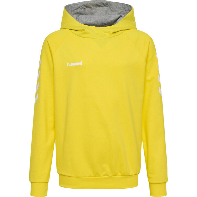 Hmlgo Hoodie Унисекс Детская мультиспортивная толстовка с капюшоном HUMMEL, цвет blau
Hmlgo Hoodie Унисекс Детская мультиспортивная толстовка с капюшоном HUMMEL, цвет blau