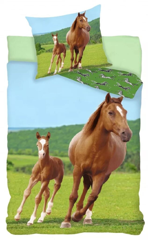 Картины с животными Пододеяльник Paard met veulen 140 x 200 см - 70 x 90 см - хлопок Javoli
Картины с животными Пододеяльник Paard met veulen 140 x 200 см - 70 x 90 см - хлопок Javoli