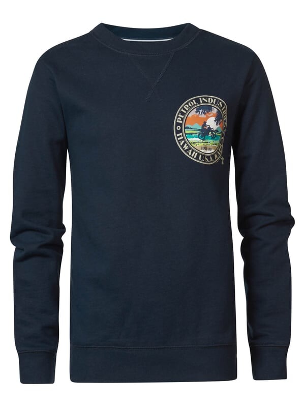 Произведение искусства свитер Scoot Boys Petrol Industries, синий
Произведение искусства свитер Scoot Boys Petrol Industries, синий