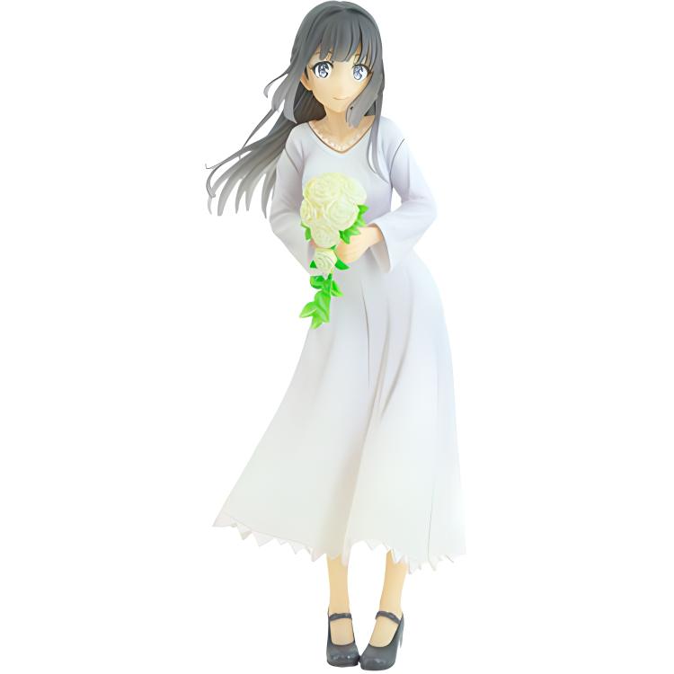 Shoko Makinohara Coreful Rascal Does Not Dream Of Bunny Girl Senpai TAITO
Shoko Makinohara Coreful Rascal Does Not Dream Of Bunny Girl Senpai TAITO