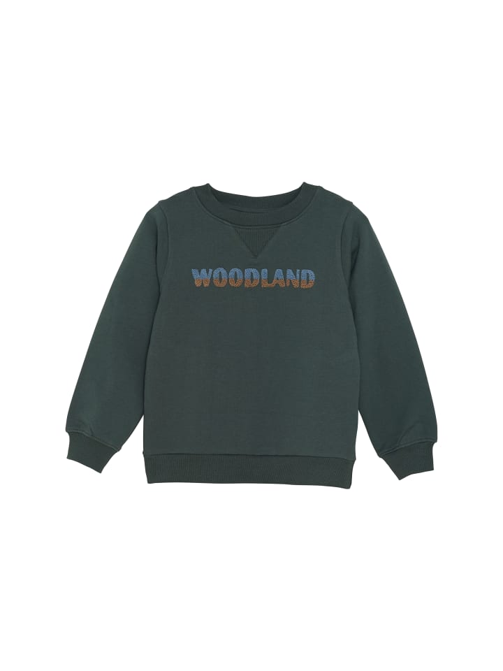 Толстовка enfant, зеленый
Толстовка enfant, зеленый